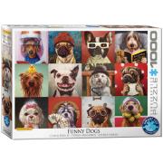 Opakowanie Puzzle 1000 Funny Dogs by Lucia Heffernan 6000-5523