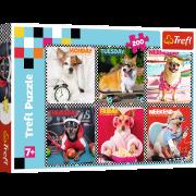 Puzzle 200 Wesołe psy 13279. Wydawca: Trefl PAP. Dadada.pl Opakowanie Puzzle 200 Wesołe psy 13279