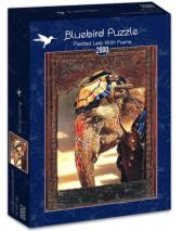 Opakowanie Puzzle 2000 Malowana Dama z ramą