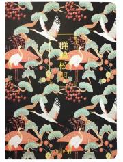 Opakowanie Szkicownik B5/100K Żurawie czarny