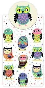 Opakowanie Zakładka magnetyczna Sówka