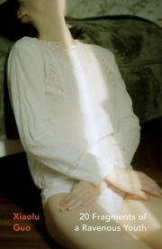 Okładka książki 20 Fragments of a Ravenous Youth