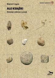 Okładka książki Ale książki Dziewięć szkiców o poezji