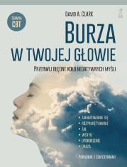 Okładka książki Burza w twojej głowie