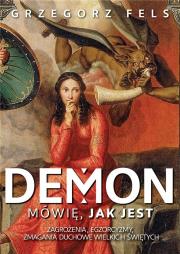 Demon. Mówię, jak jest. Autor: Grzegorz Fels. Dadada.pl Okładka książki Demon. Mówię, jak jest