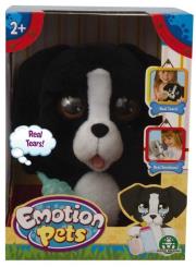 Opakowanie Emotion Pets - czarny piesek