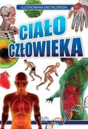 Ilustrowana encyklopedia. Ciało człowieka. Autor: Opracowanie zbiorowe. Dadada.pl Okładka książki Ilustrowana encyklopedia. Ciało człowieka