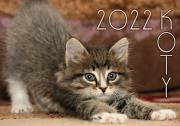 Opakowanie Kalendarz 2022 Koty KA2