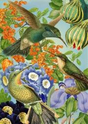 Opakowanie Karnet B6 brokat z kopertą Kolibry