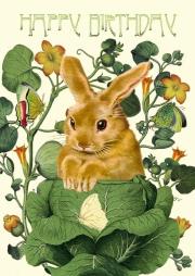 Opakowanie Karnet B6 z kopertą Urodziny Królik w kapuście