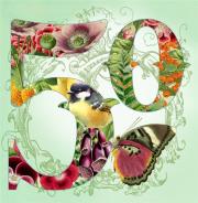 Opakowanie Karnet kwadrat z kopertą Urodziny 50