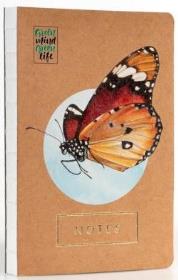 Opakowanie Notes Motyl