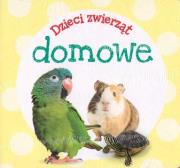 Pakiet: wiem wszystko. Autor:   Praca zbiorowa. Dadada.pl Okładka książki Pakiet: wiem wszystko