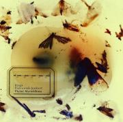 Pieśni Myrmidonu. Autor: Piotrowiak-Junkiert Kinga. Dadada.pl Okładka książki Pieśni Myrmidonu