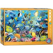 Opakowanie Puzzle 1000 Kolory oceanu