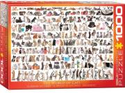 Opakowanie Puzzle 1000 Świat kotów