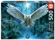Opakowanie Puzzle 500 Magiczna sowa G3
