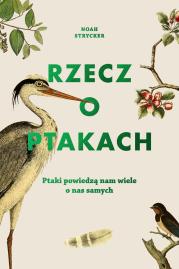 Rzecz o ptakach. Autor: Noah Strycker, Radziszewski Michał. Dadada.pl Okładka książki Rzecz o ptakach