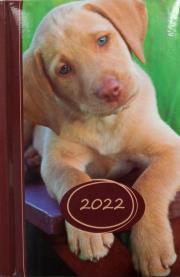 Opakowanie Terminarz 2022 dzienny B6 Prismalux MIX