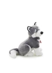 Opakowanie Husky Marcus L