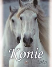 Opakowanie Kalendarz 2020 ścienny Wieloplanszowy Konie