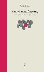 Okładka książki Kamyk metafizyczny