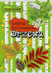 Okładka książki Leśna kolorowanka. Drzewa