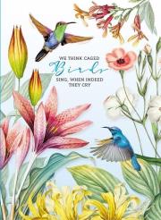 Opakowanie Notatnik ozdobny 145x197/64K kratka TW Kolibry