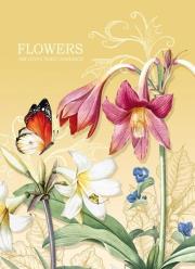 Opakowanie Notatnik ozdobny 145x197/64K kratka TW Motyl