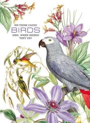 Opakowanie Notatnik ozdobny 145x197/64K kratka TW Papugi