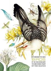 Opakowanie Notatnik ozdobny 165x238/80K kratka Ptak