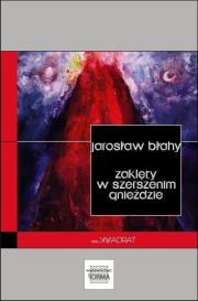 Zaklęty w szerszenim gnieździe. Autor: Błahy Jarosław. Dadada.pl Okładka książki Zaklęty w szerszenim gnieździe