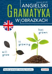 Angielski. Gramatyka w obrazkach. Autor: Opracowanie zbiorowe. Dadada.pl Okładka książki Angielski. Gramatyka w obrazkach