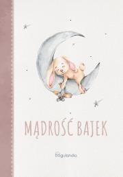 Bajki Mądre grosza godne. Autor: Alfred J. Palla. Dadada.pl Okładka książki Bajki Mądre grosza godne