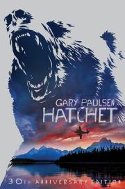 Hatchet. Autor: Paulsen Gary. Dadada.pl Okładka książki Hatchet