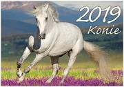 Kalendarz Konie 2019 KA2. Wydawca: Morex GM. Dadada.pl Opakowanie Kalendarz Konie 2019 KA2