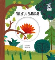 Niespodzianka Magiczne koło Kapitan Nauka. Autor: Clima Gabriele. Dadada.pl Okładka książki Niespodzianka Magiczne koło Kapitan Nauka