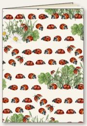 Opakowanie Zeszyt ozdobny A5/48K linia Biedronki