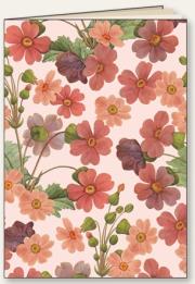 Opakowanie Zeszyt ozdobny A5/48K linia Stokrotka