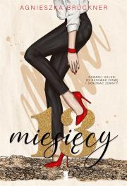 13 miesięcy. Autor: Agnieszka Brückner. Dadada.pl Okładka książki 13 miesięcy