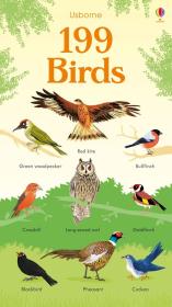 199 Birds. Wydawca: Usborne. Dadada.pl Opakowanie 199 Birds