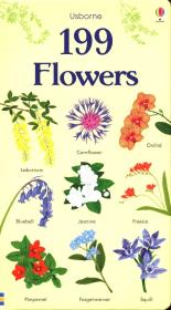 199 Flowers. Wydawca: Usborne. Dadada.pl Opakowanie 199 Flowers