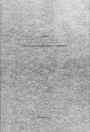 Okładka książki 21 scenes concerning the silence of Art in Ruins