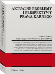 Okładka książki Aktualne problemy i perspektywy prawa karnego