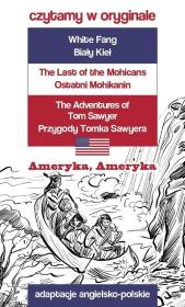 Okładka książki Ameryka, Ameryka