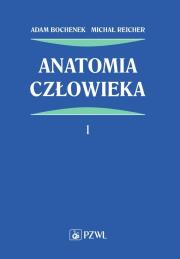 Okładka książki Anatomia człowieka Tom 1
