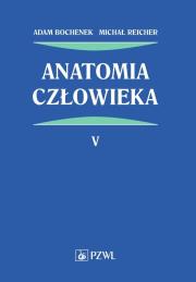 Okładka książki Anatomia człowieka Tom 5