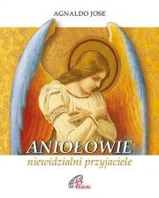 Okładka książki Aniołowie, niewidzialni przyjaciele