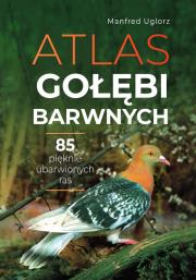 Atlas gołębi barwnych. Autor: Uglorz Manfred. Dadada.pl Okładka książki Atlas gołębi barwnych