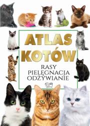 Atlas kotów. Autor: Joanna Werner. Dadada.pl Okładka książki Atlas kotów